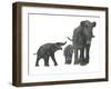 Deinotherium with Offspring-Stocktrek Images-Framed Art Print