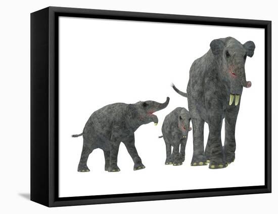 Deinotherium with Offspring-Stocktrek Images-Framed Stretched Canvas