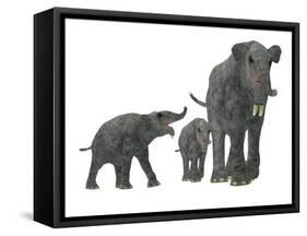 Deinotherium with Offspring-Stocktrek Images-Framed Stretched Canvas