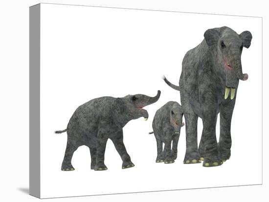 Deinotherium with Offspring-Stocktrek Images-Stretched Canvas
