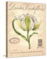 Deirdre Viridiflora-Constance Lael-Stretched Canvas
