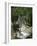 Dejeuner Sur L'Herbe, Chailly, 1865 (Central Panel)-Claude Monet-Framed Giclee Print