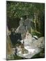 Dejeuner Sur L'Herbe, Chailly, 1865 (Central Panel)-Claude Monet-Mounted Giclee Print