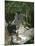 Dejeuner Sur L'Herbe, Chailly, 1865 (Central Panel)-Claude Monet-Mounted Giclee Print