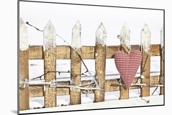 Deko Fence and Checked Heart-Andrea Haase-Mounted Photographic Print