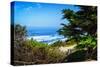 Del Mar Beach II-Alan Hausenflock-Stretched Canvas