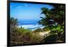 Del Mar Beach II-Alan Hausenflock-Framed Photo