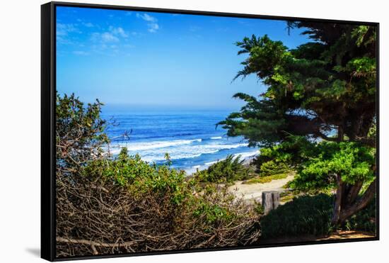 Del Mar Beach II-Alan Hausenflock-Framed Stretched Canvas