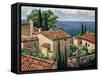 Del Mar Vista-Thomas Young-Framed Stretched Canvas