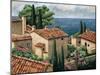 Del Mar Vista-Thomas Young-Mounted Art Print