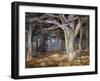 Del Monte Forest-Detlef Sammann-Framed Art Print