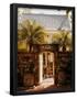 Essential Black