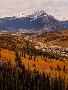 Just the Print
