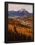 Essential Black