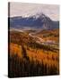 Stretched Canvas