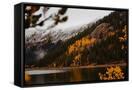 Canvas Black