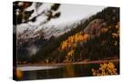 Stretched Canvas