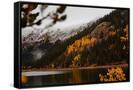 Canvas Black