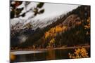 Wood Mount