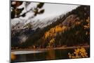 Wood Mount