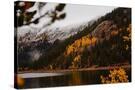 Stretched Canvas