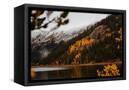 Canvas Black