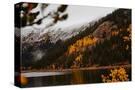 Stretched Canvas