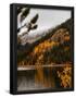 Essential Black