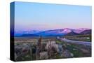 Stretched Canvas