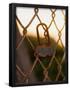 Essential Black
