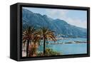 Canvas Black