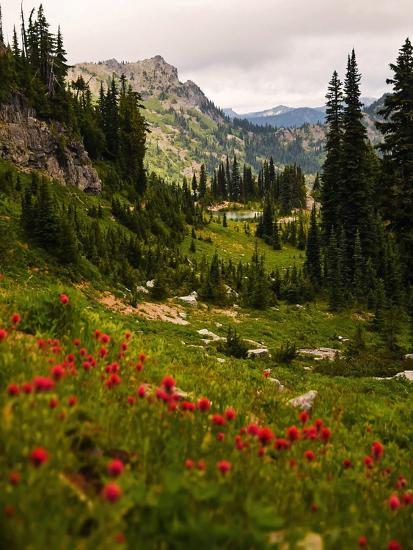 Premium Photographic Print, , large