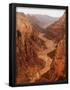 Essential Black