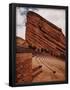 Essential Black