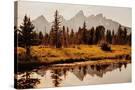 Stretched Canvas