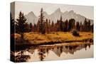 Stretched Canvas