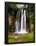 Essential Black
