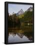 Essential Black