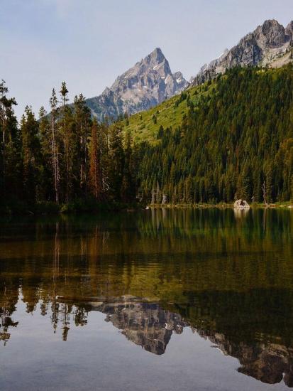 Premium Photographic Print, , large