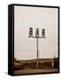 Canvas Black