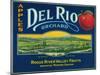 Del Rio Apple Crate Label - Medford, OR-Lantern Press-Mounted Art Print