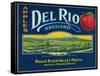 Del Rio Apple Crate Label - Medford, OR-Lantern Press-Framed Stretched Canvas