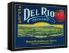 Del Rio Apple Crate Label - Medford, OR-Lantern Press-Framed Stretched Canvas