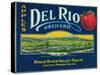 Del Rio Apple Crate Label - Medford, OR-Lantern Press-Stretched Canvas