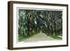 Deland, Florida - View Down Minnesota Avenue-Lantern Press-Framed Art Print