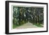 Deland, Florida - View Down Minnesota Avenue-Lantern Press-Framed Art Print