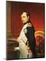 Delaroche, Portrait de l'empereur Napol? 1er dans son cabinet-Paul Delaroche-Mounted Giclee Print