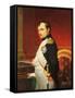 Delaroche, Portrait de l'empereur Napol? 1er dans son cabinet-Paul Delaroche-Framed Stretched Canvas