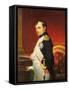 Delaroche, Portrait de l'empereur Napol? 1er dans son cabinet-Paul Delaroche-Framed Stretched Canvas