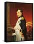 Delaroche, Portrait de l'empereur Napol? 1er dans son cabinet-Paul Delaroche-Framed Stretched Canvas